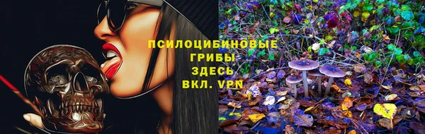 PSILOCYBIN Алексеевка