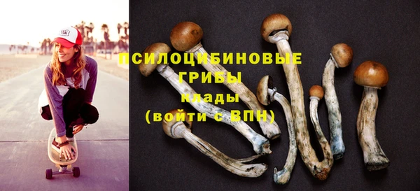 тгк Алзамай