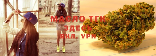 тгк Алзамай