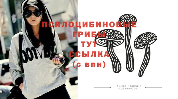 PSILOCYBIN Алексеевка