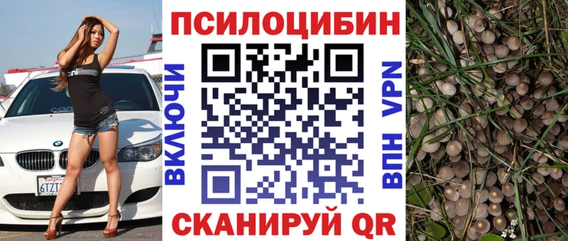 OMG онион  хочу наркоту  Ардатов  Галлюциногенные грибы GOLDEN TEACHER 